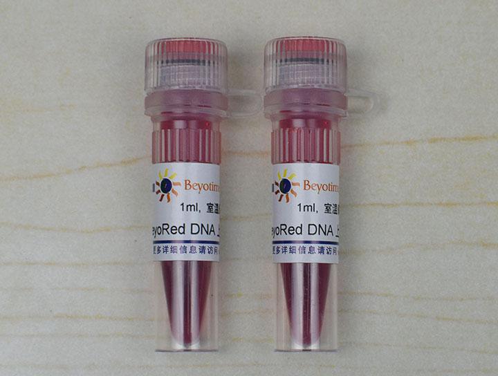 BeyoRed DNA上样缓冲液(6X)